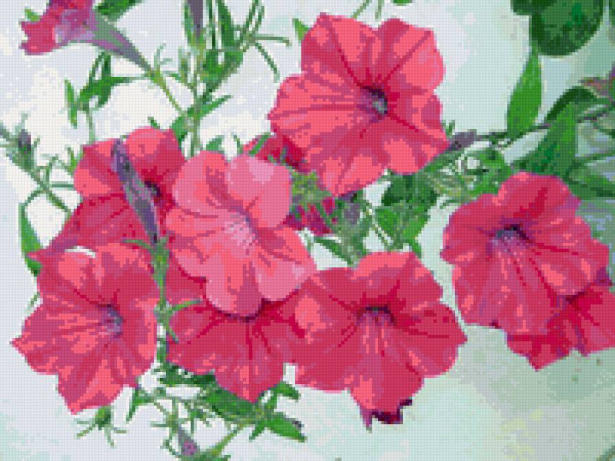 цветы - предпросмотр