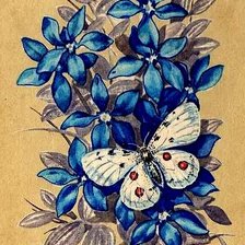 Оригинал схемы вышивки «бабочка на цветах» (№156089)
