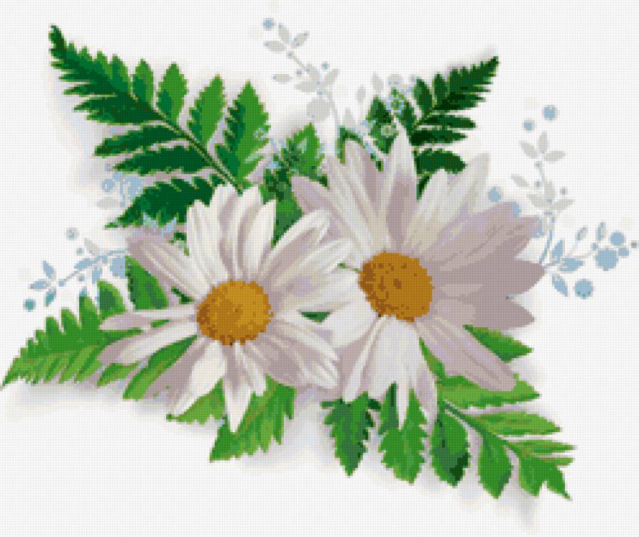 ромашки - ромашки - предпросмотр