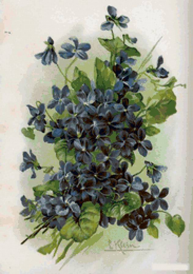 букетик - букет, цветы - предпросмотр