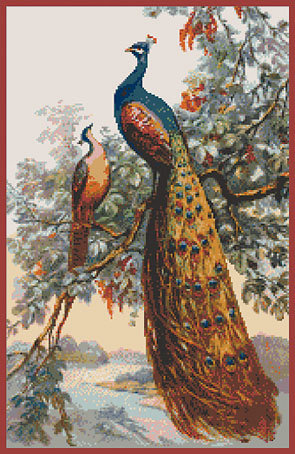 павлин на ветке - оригинал