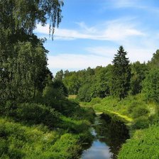 Оригинал схемы вышивки «природа 1» (№156229)