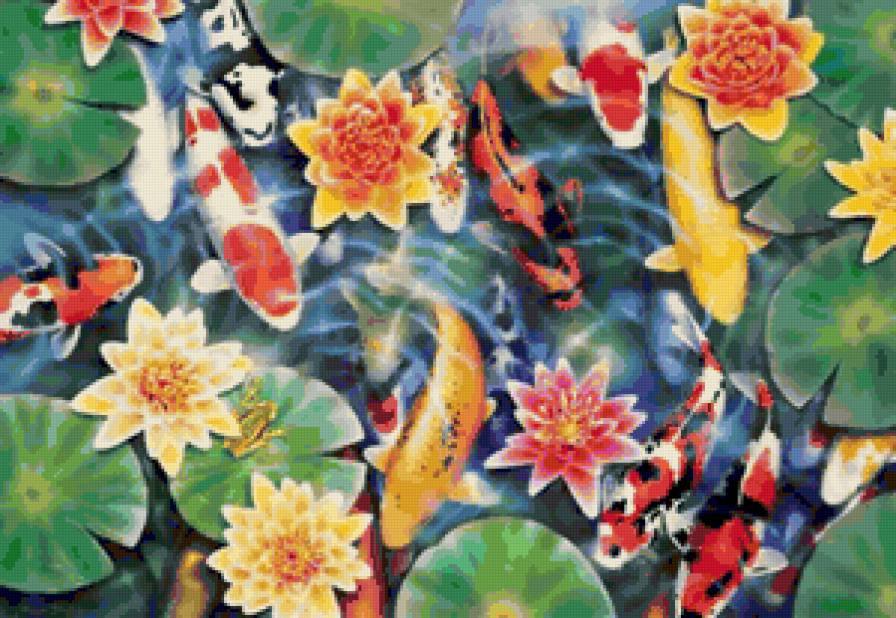 Koi сада - животное - предпросмотр