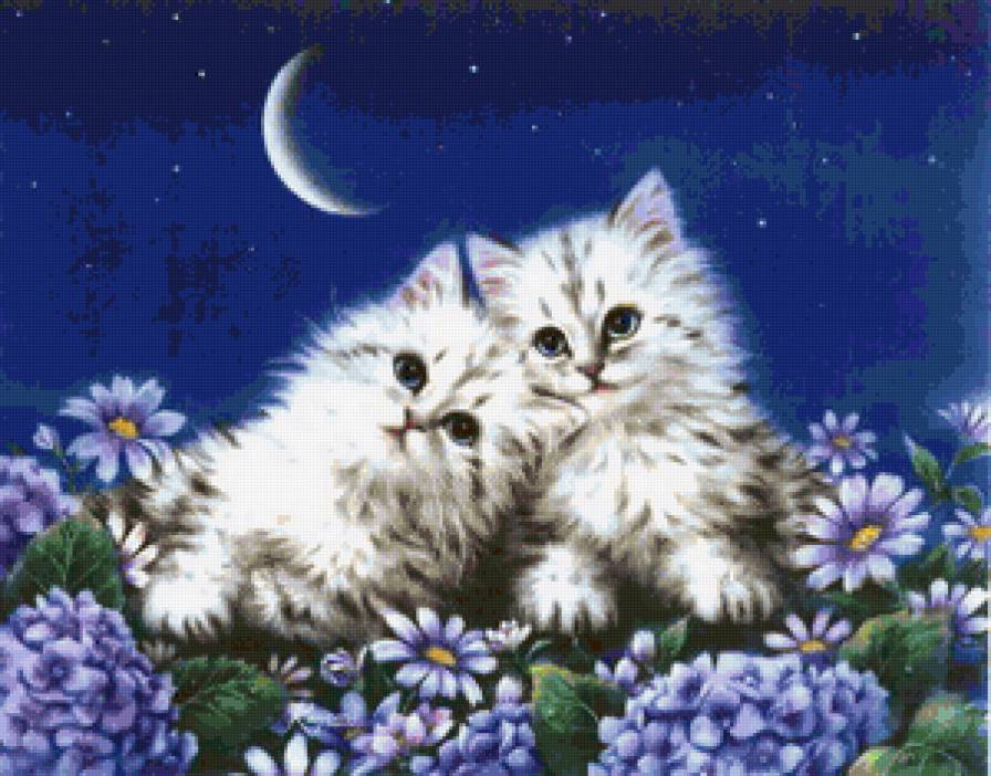 Октябрь котенка - кошка - предпросмотр