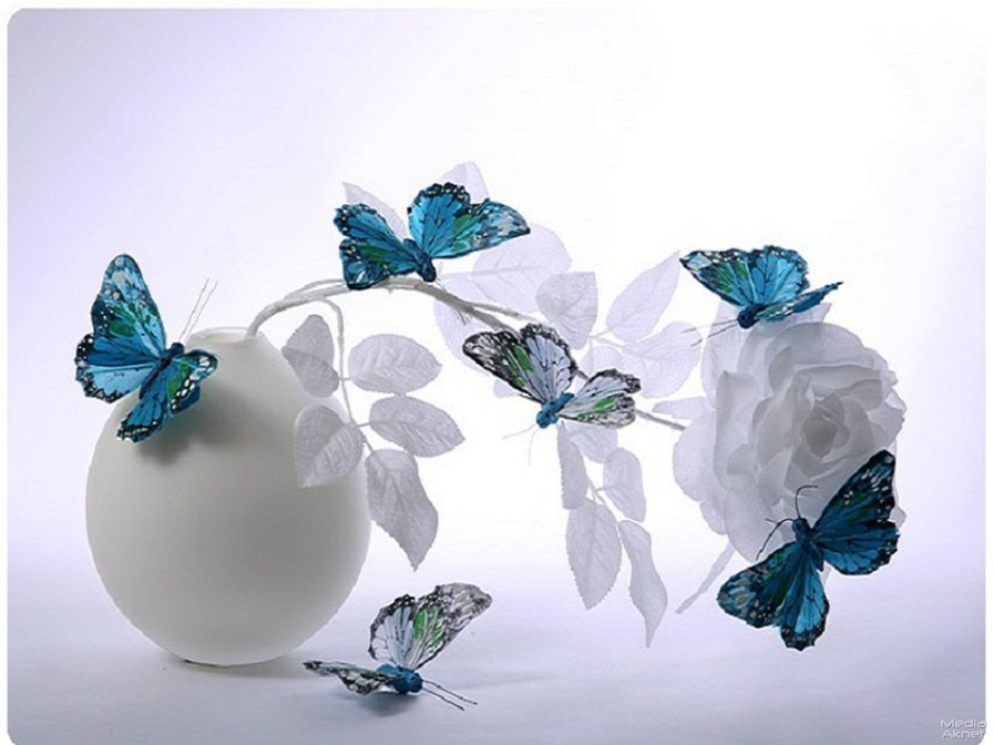 Бабочки - цветы, нежность, бабочки - оригинал