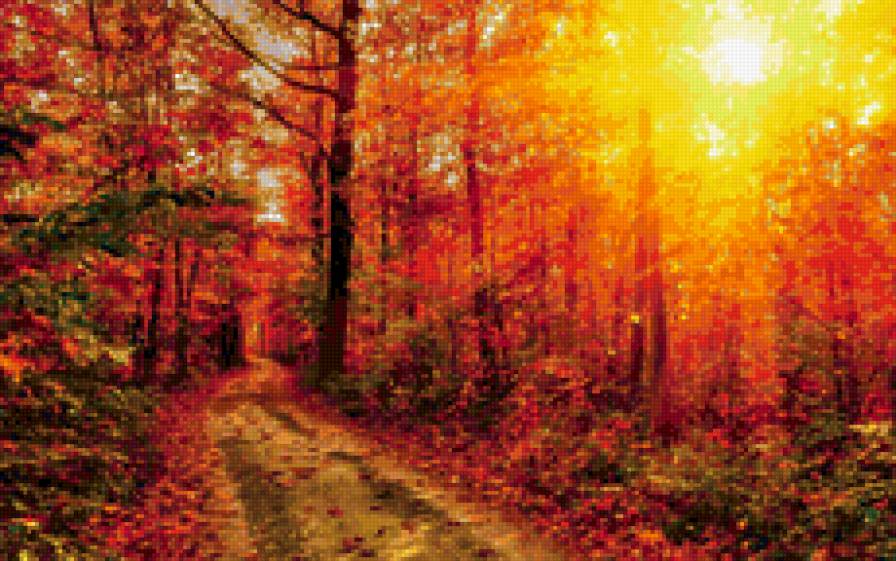 осень - природа, пейзаж, осень - предпросмотр