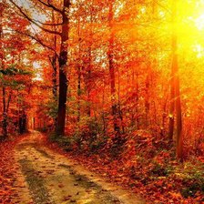 Схема вышивки «осень»