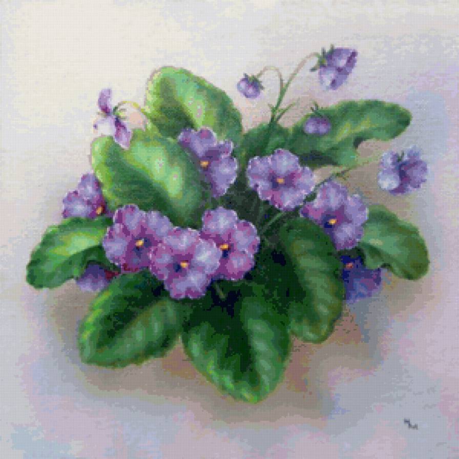 Серия "Букет" - цветы, букет, фиалки - предпросмотр
