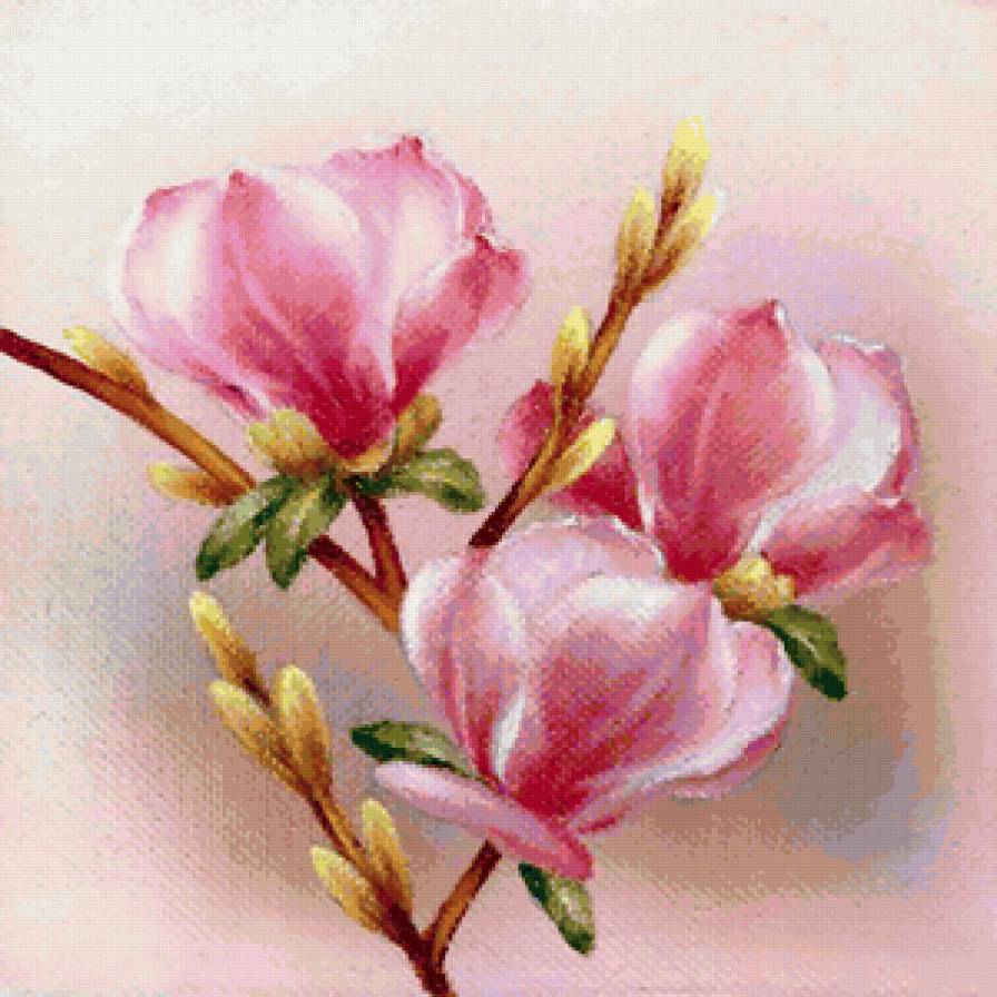 Серия "Букет" - магнолии, букет, цветы - предпросмотр