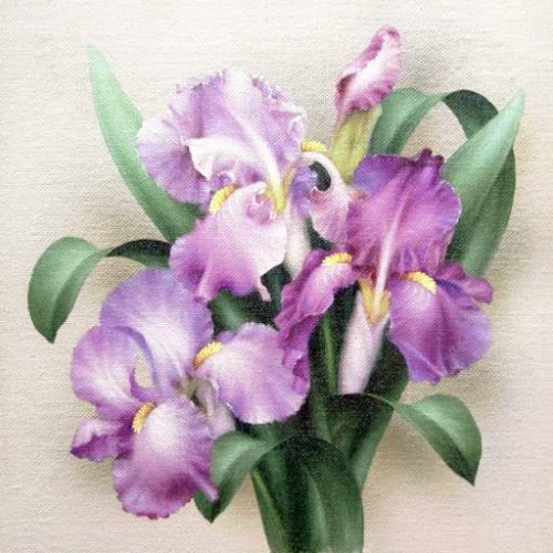 Серия "Букет" - ирисы, цветы, букет - оригинал