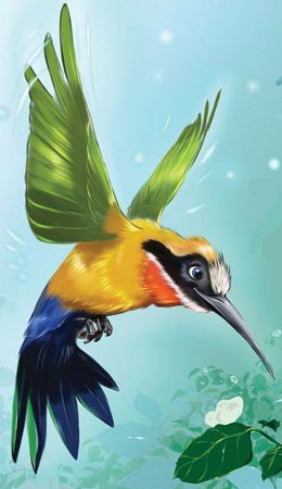 Колибри - птица - оригинал