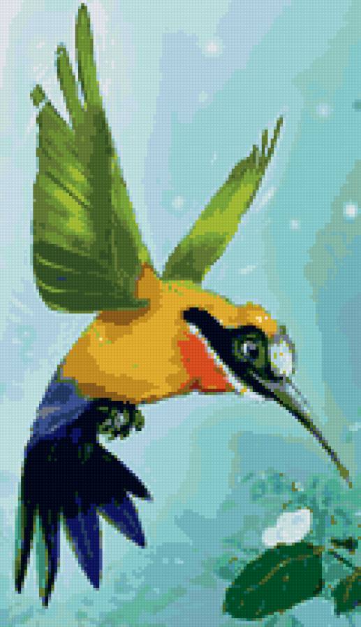 Колибри - птица - предпросмотр