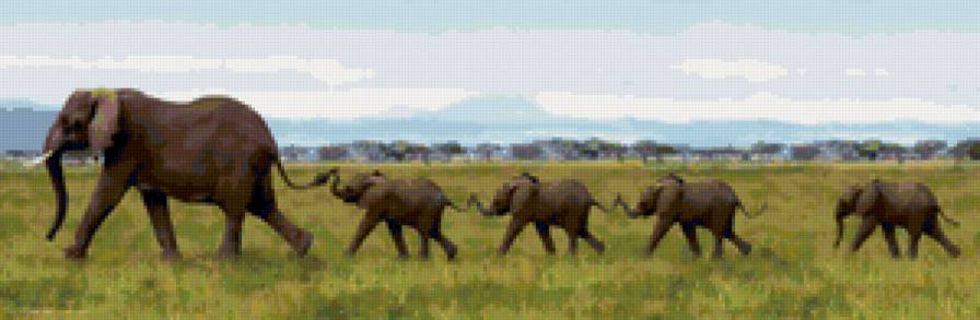 Семья слонов - африка, слон, природа, животные, слоненок - предпросмотр