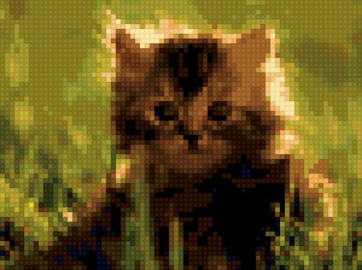 котенок - предпросмотр