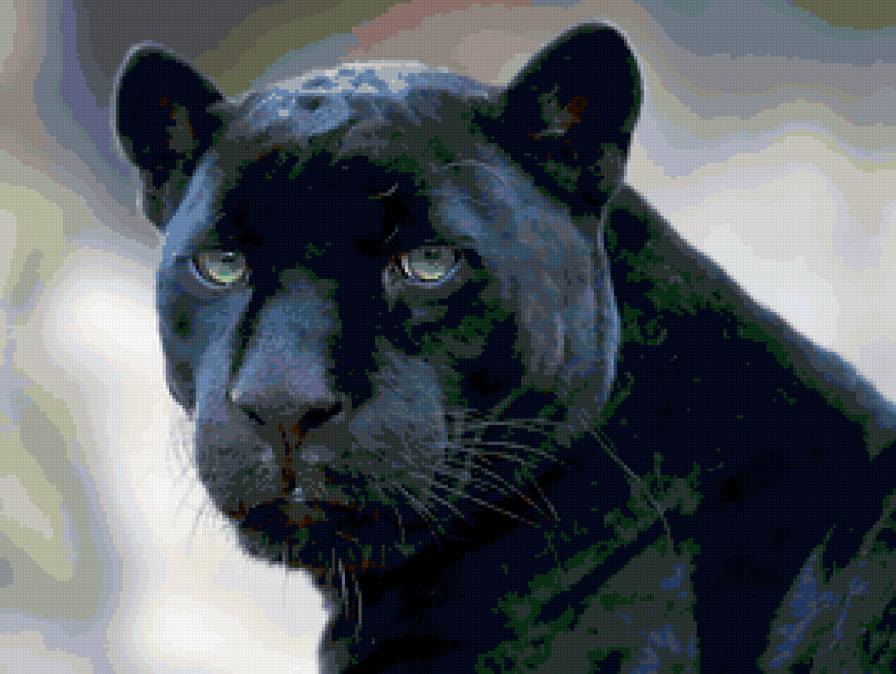 Черная пантера - пантера, животное, зверь - предпросмотр