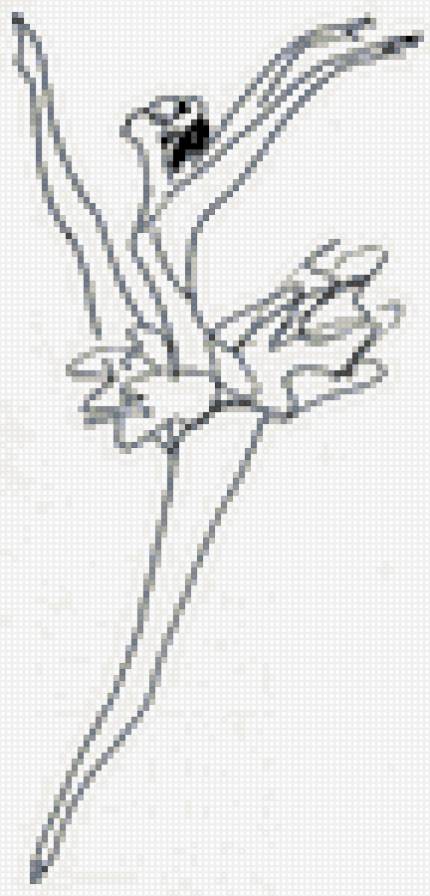 №156515 - предпросмотр