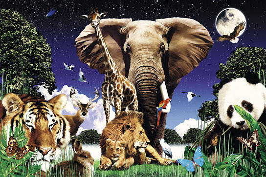 Фауна - слон, жираф, тигр, лев, звери, панда, животные - оригинал