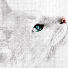 Схема вышивки «Кошка»