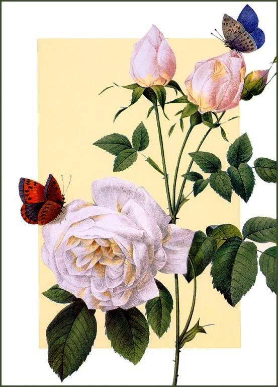 №157184 - оригинал