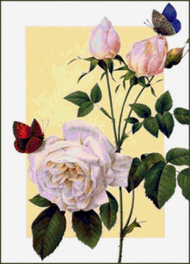 №157184 - предпросмотр