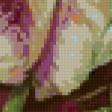 Предпросмотр схемы вышивки «Триптих Тюльпаны» (№157202)