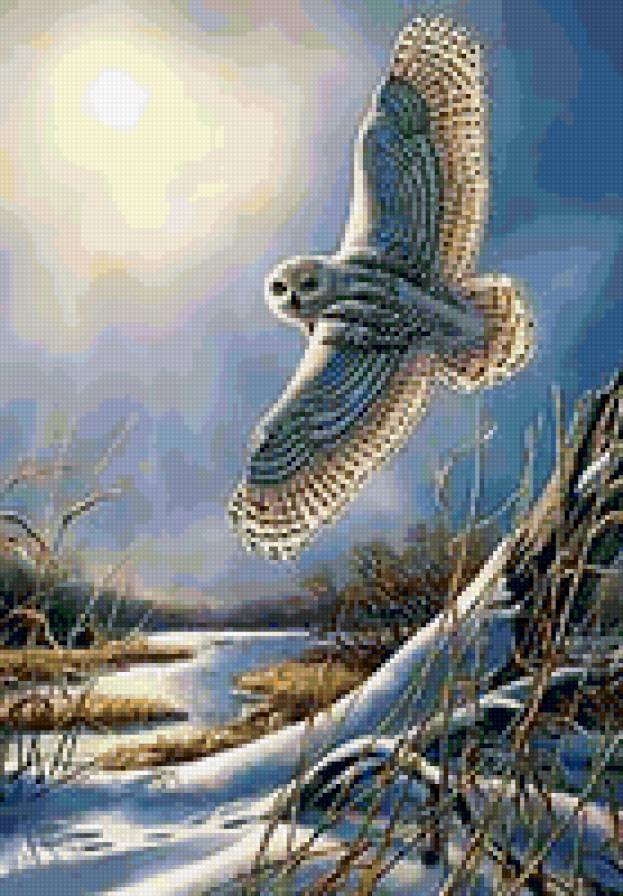 №157249 - предпросмотр