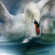 Схема вышивки «spirit of the swan»
