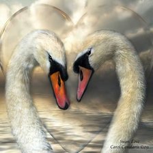 Схема вышивки «swan love»