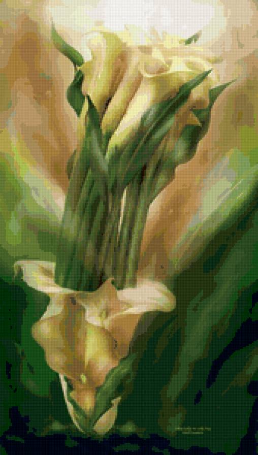 yellow callas - предпросмотр