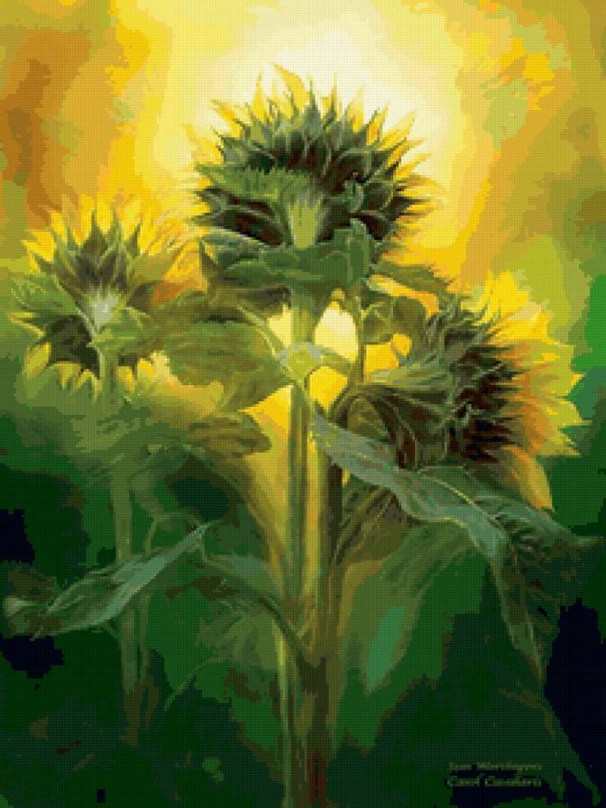 flowers - предпросмотр