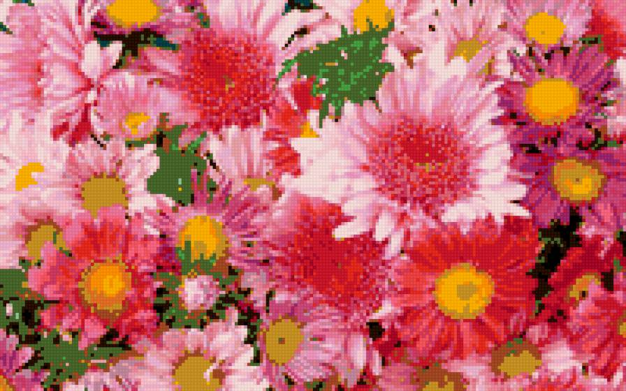 БУКЕТ - предпросмотр