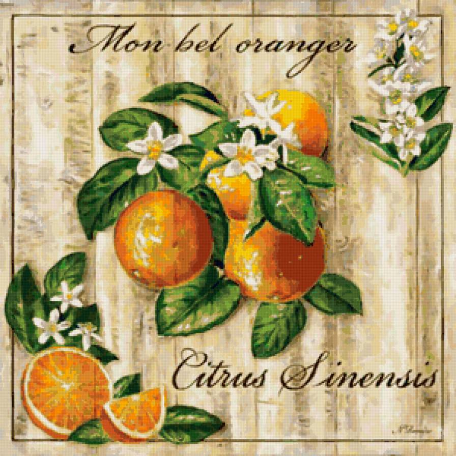 апельсины - апельсины - предпросмотр