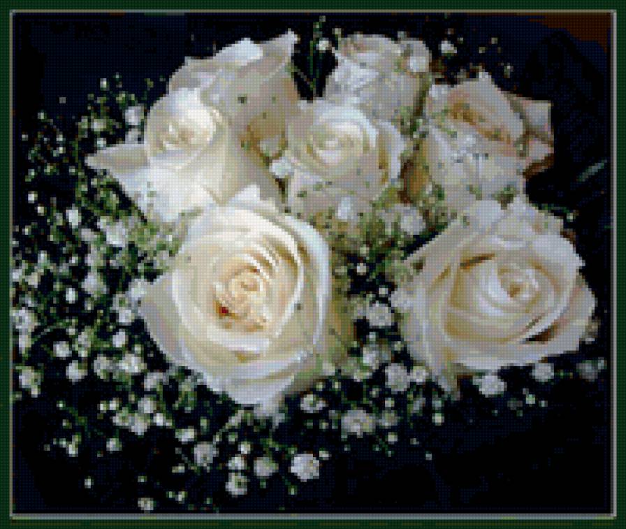 роза - предпросмотр