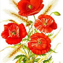 Схема вышивки «маки»