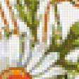 Предпросмотр схемы вышивки «маки» (№157751)