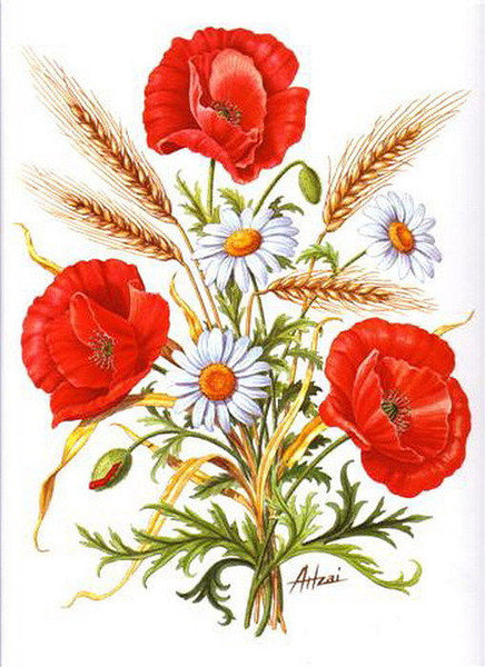 маки - маки - оригинал