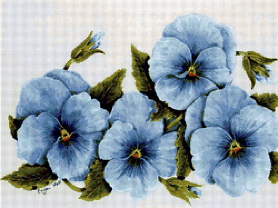 цветы - цветы - предпросмотр