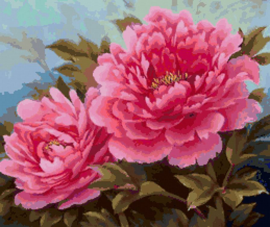 пионы - пионы - предпросмотр