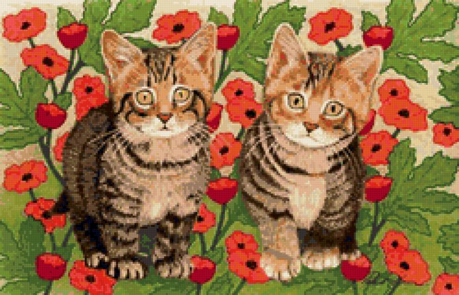 милые котята - котята - предпросмотр