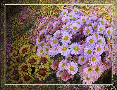 Хризантемы - цветы - оригинал