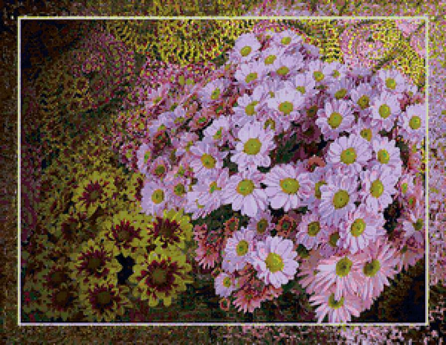 Хризантемы - цветы - предпросмотр