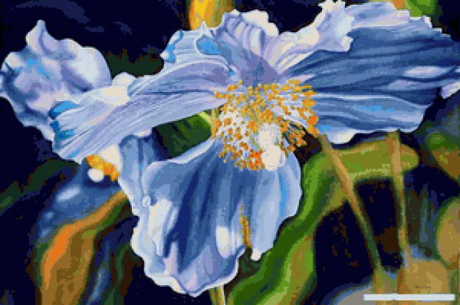 Серия "Букет" - букет, ирисы, цветы - предпросмотр