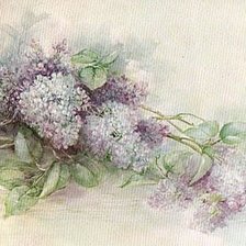 Схема вышивки «№157826»