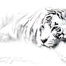 Оригинал схемы вышивки «Тигр» (№157858)