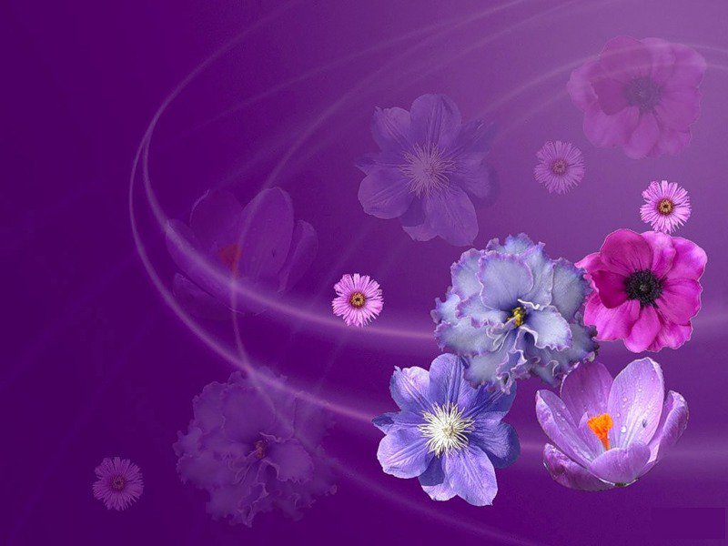 цветочки - цветы - оригинал