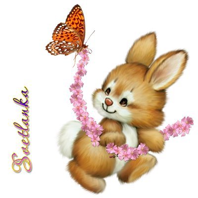 зайка - животные, зайчик, картинки - оригинал