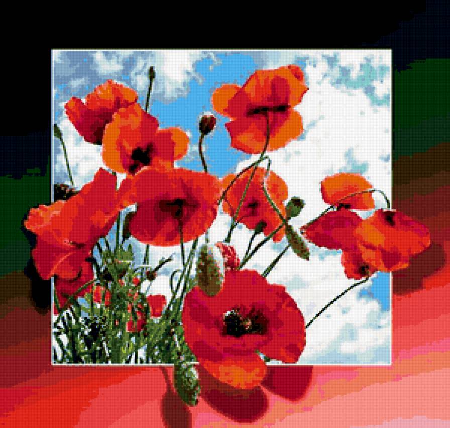 маки - маки, цветы - предпросмотр