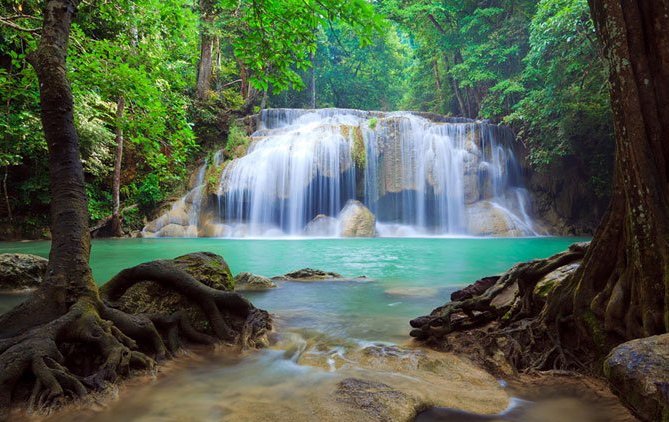 №157985 - природа - оригинал