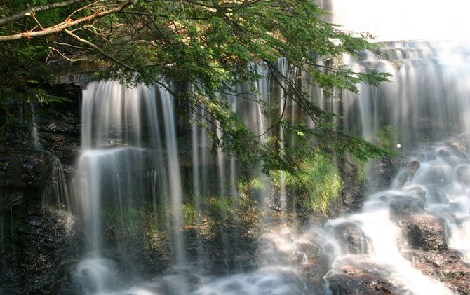 №157994 - природа - оригинал