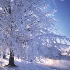 Схема вышивки «№158001»